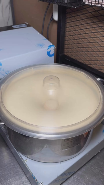 Orijinal Hatay Humus 250 g